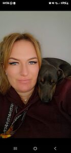 Tracey A Dorey - Licensed Poodle Breeder